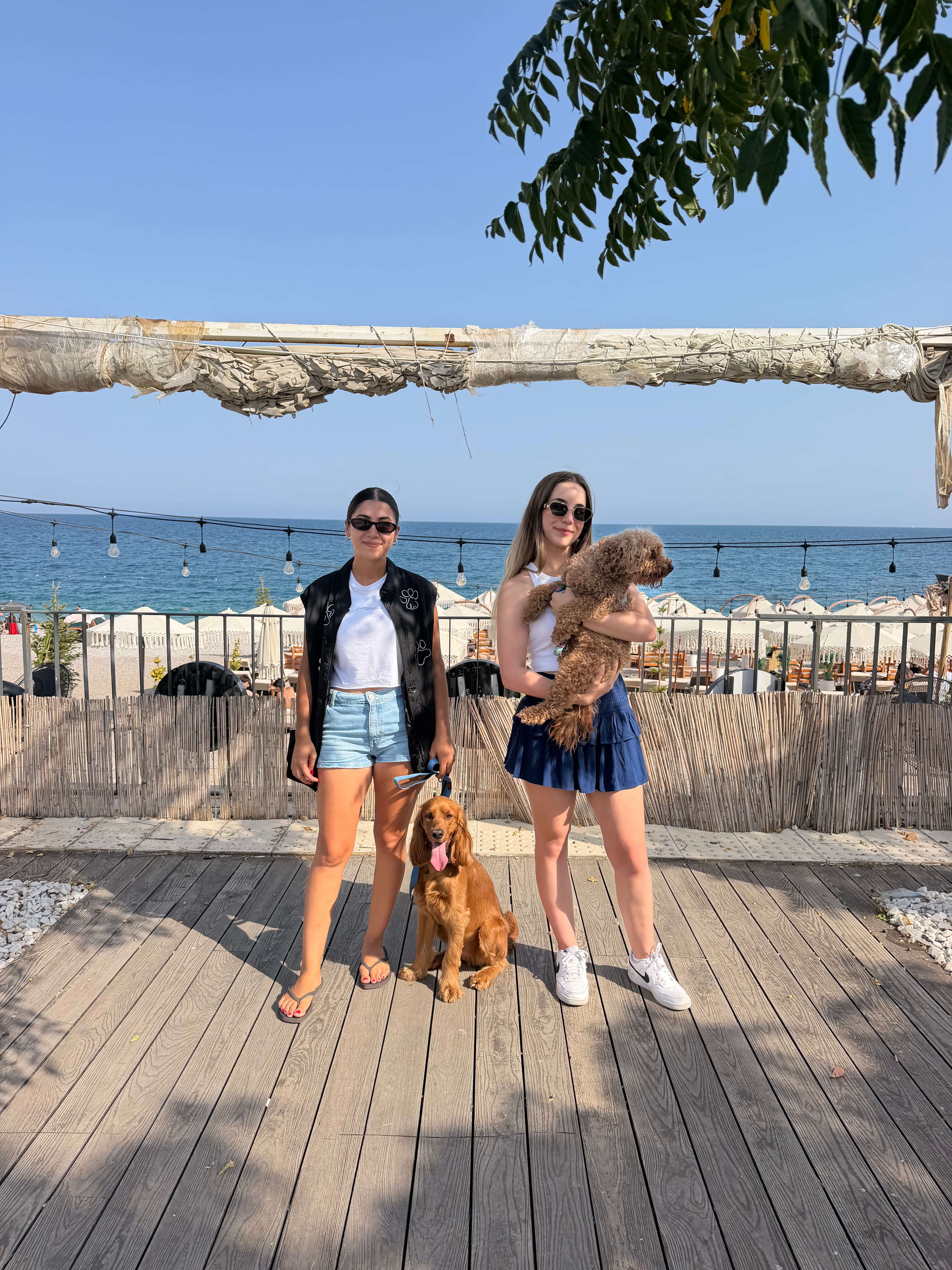 Patilerin Dünyası dostları köpekleriyle bir arada