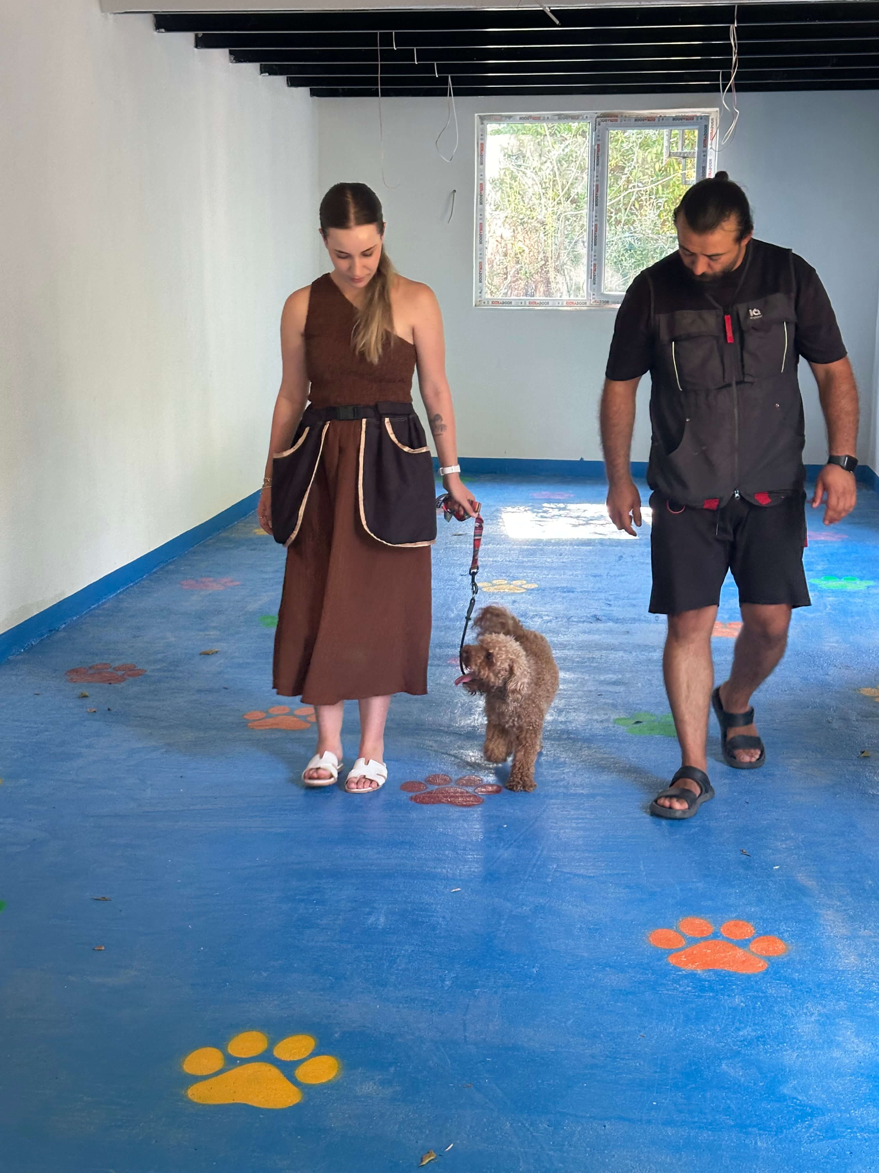 Köpek eğitimi odasında yürüyüş çalışması