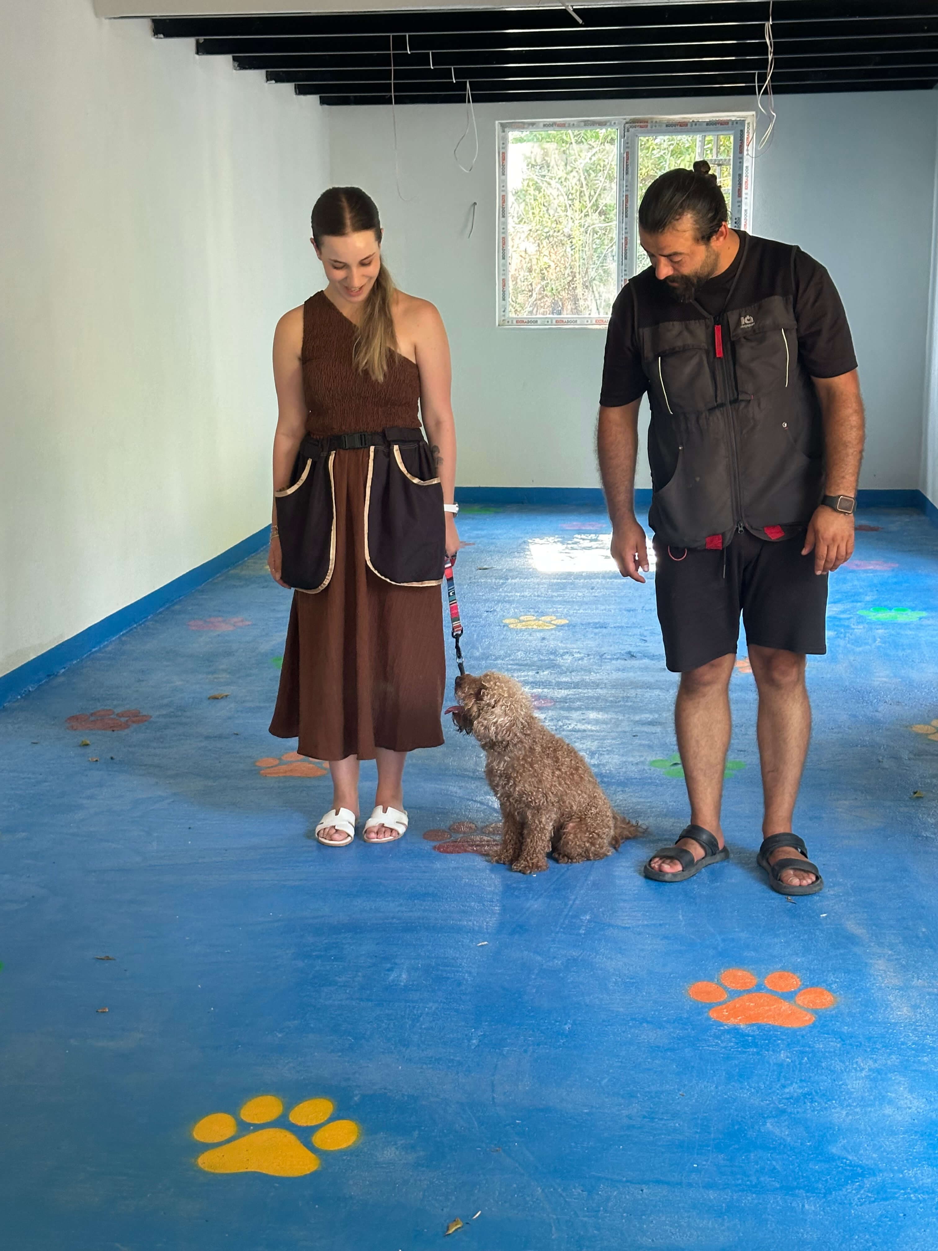 Köpek eğitimi odasında bir çalışma anı