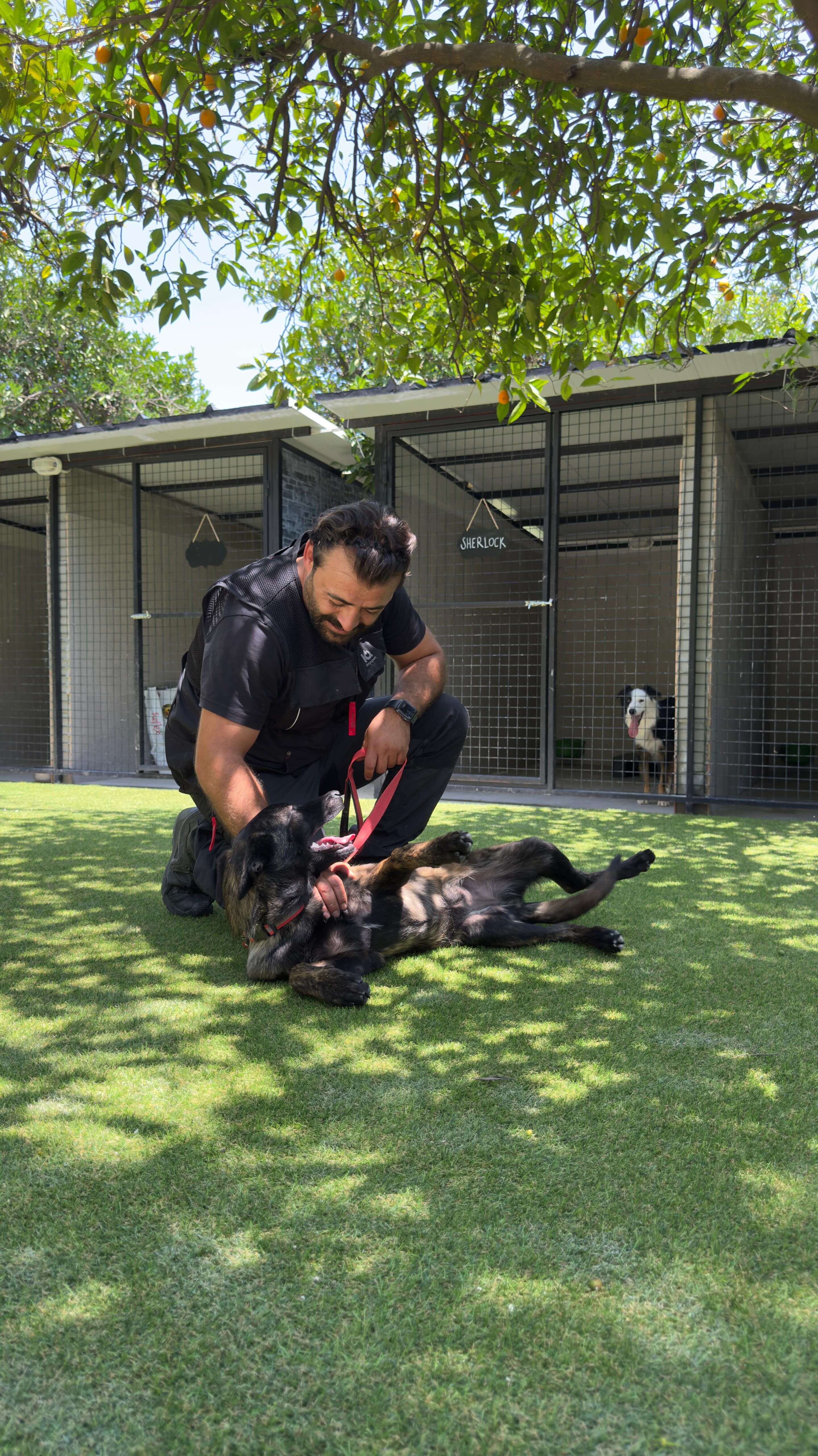 Eğitmenimiz Patilerin Dünyası tesisinde bir köpekle