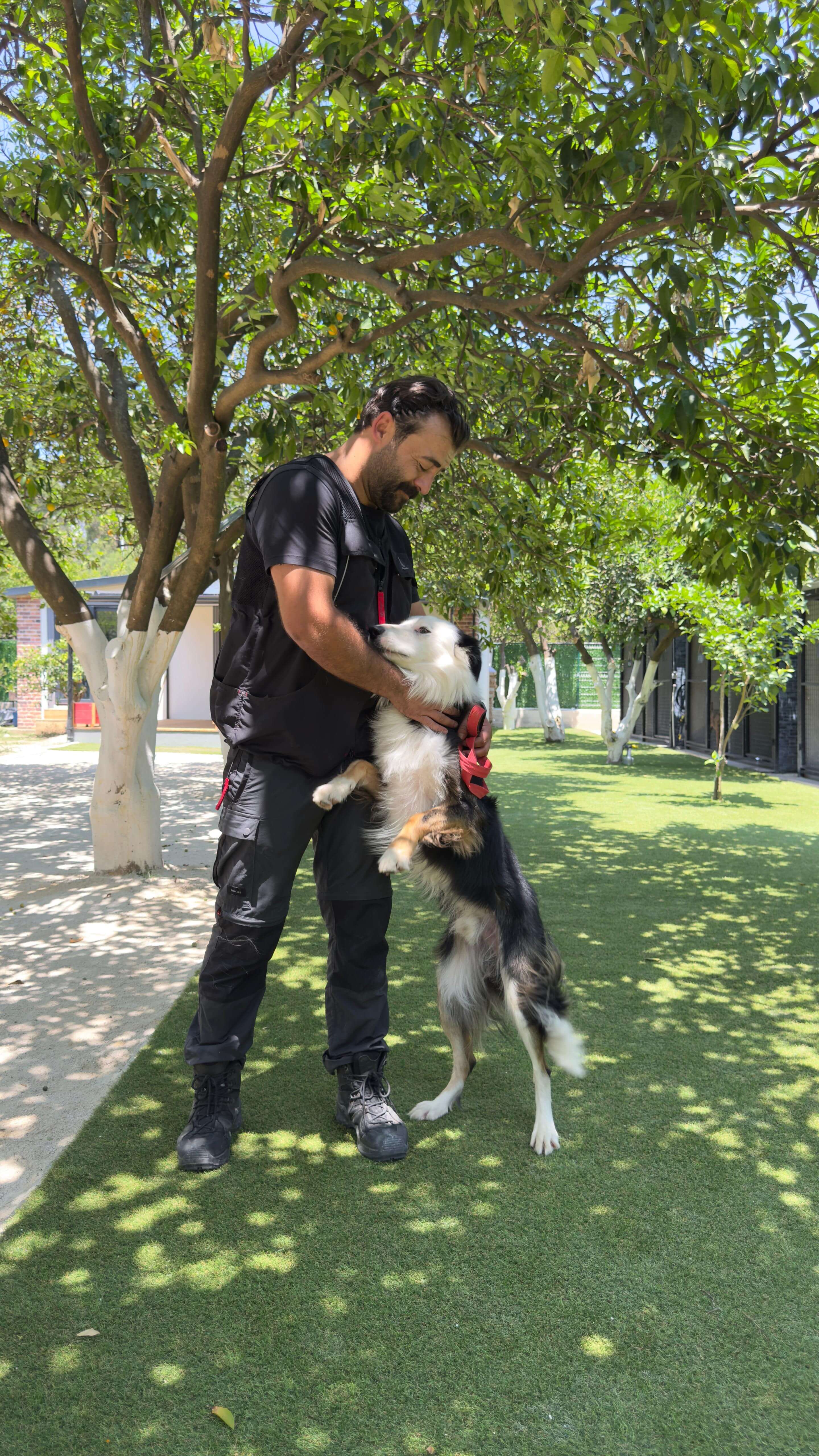 Eğitmenimiz köpekle çalışırken