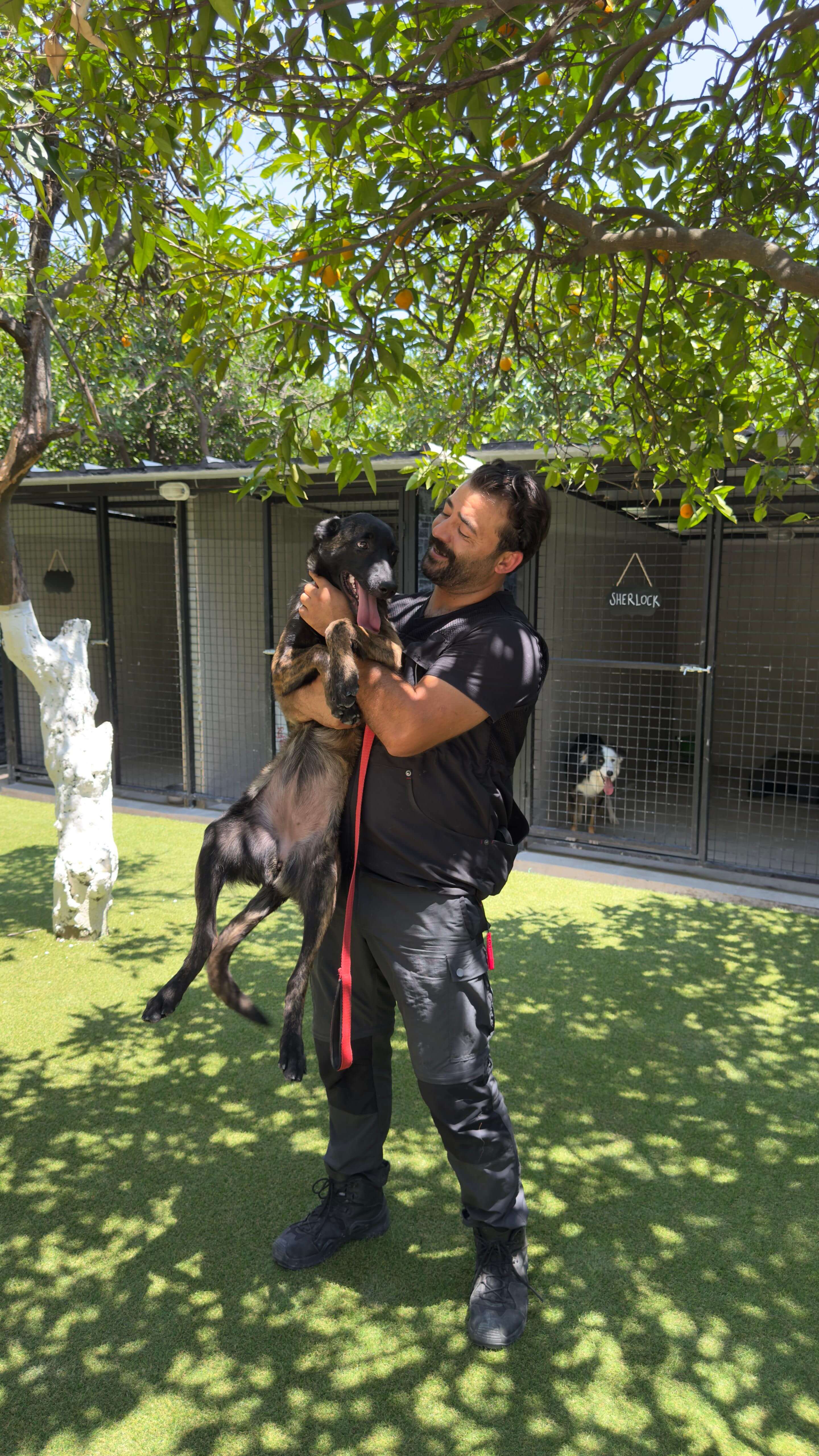Eğitmen ve köpek oyun anı