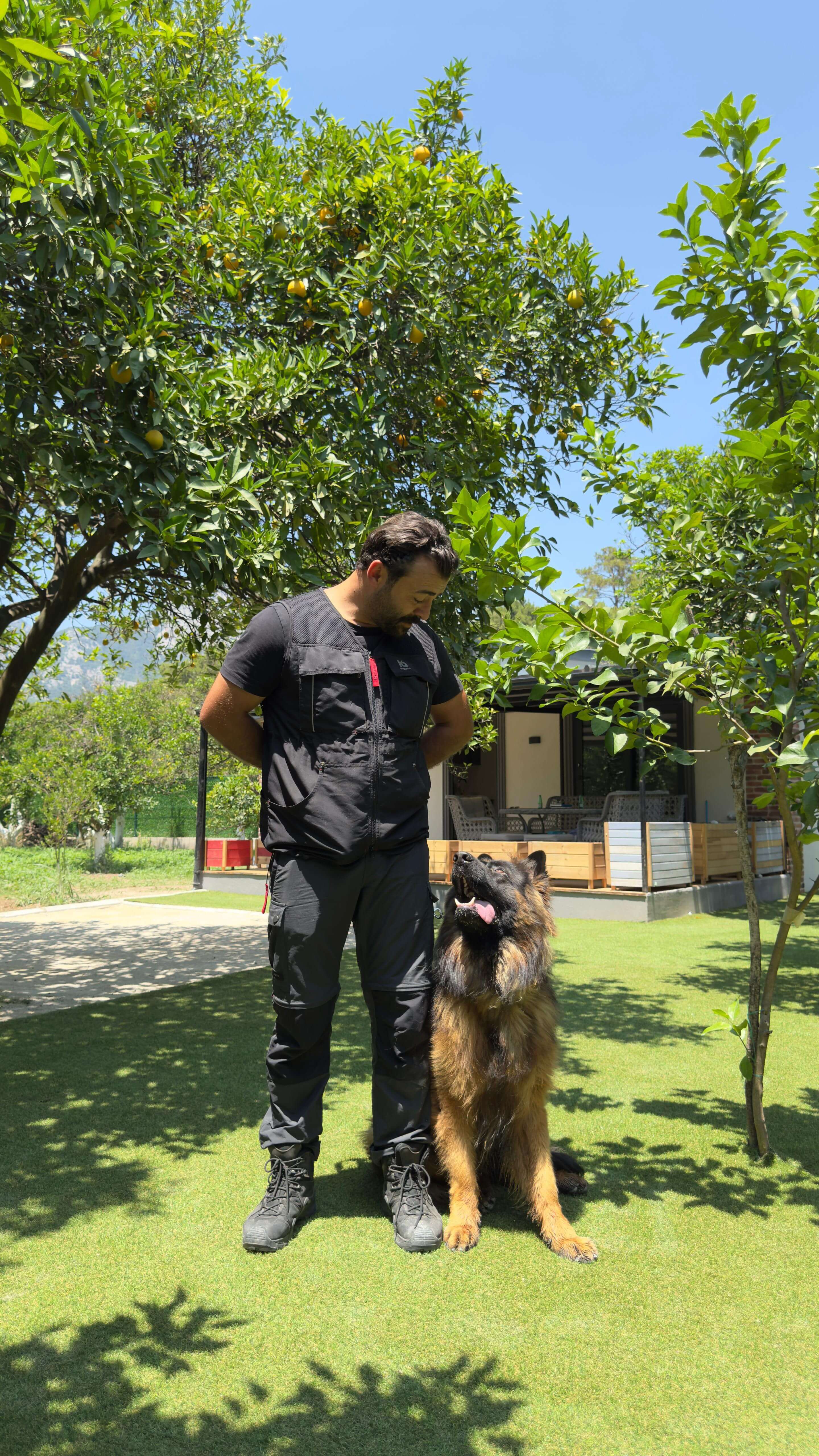 Köpek eğitmenimiz bir Alman çoban köpeğiyle