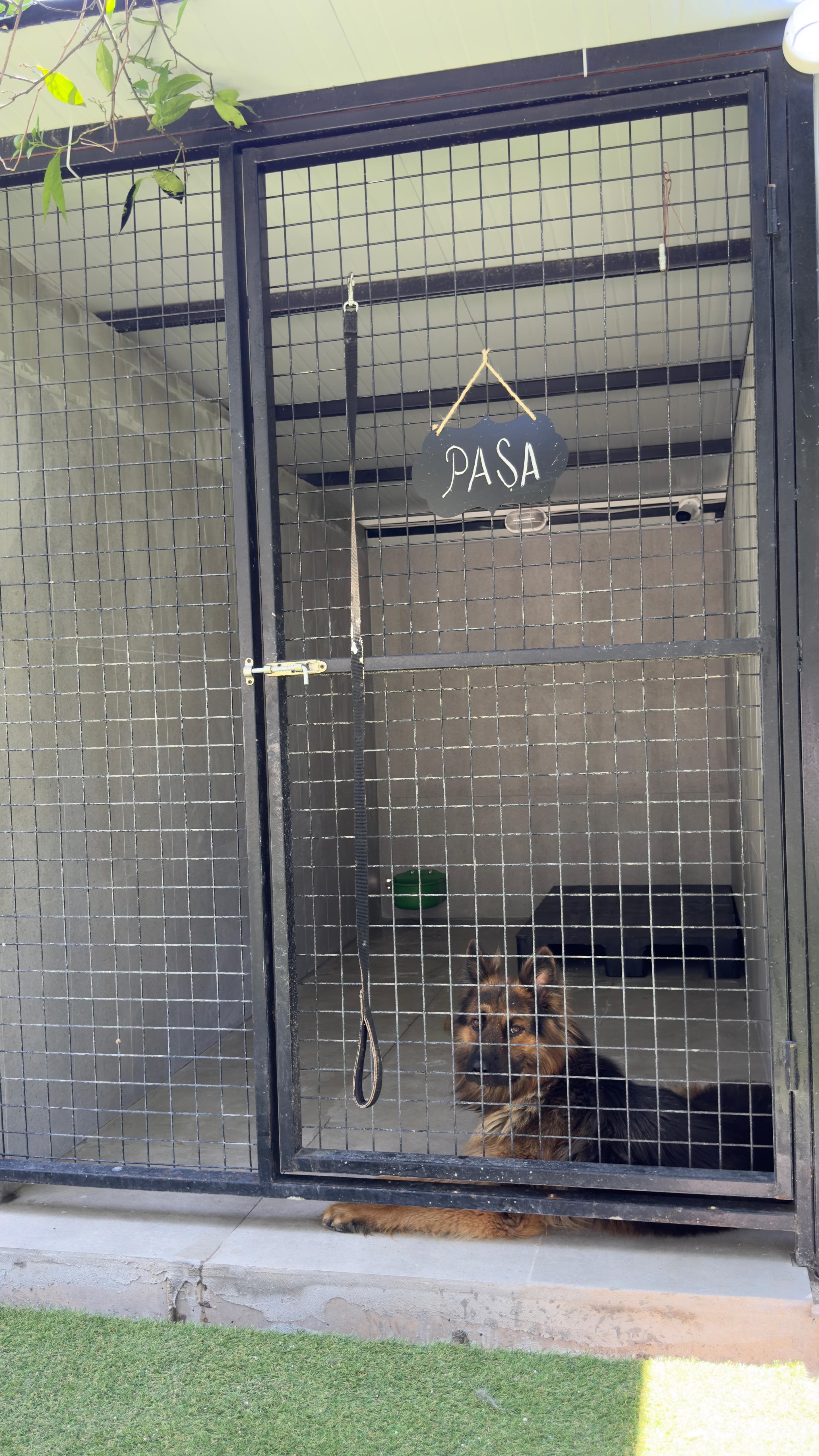 Köpek pansiyonu görünüm 1