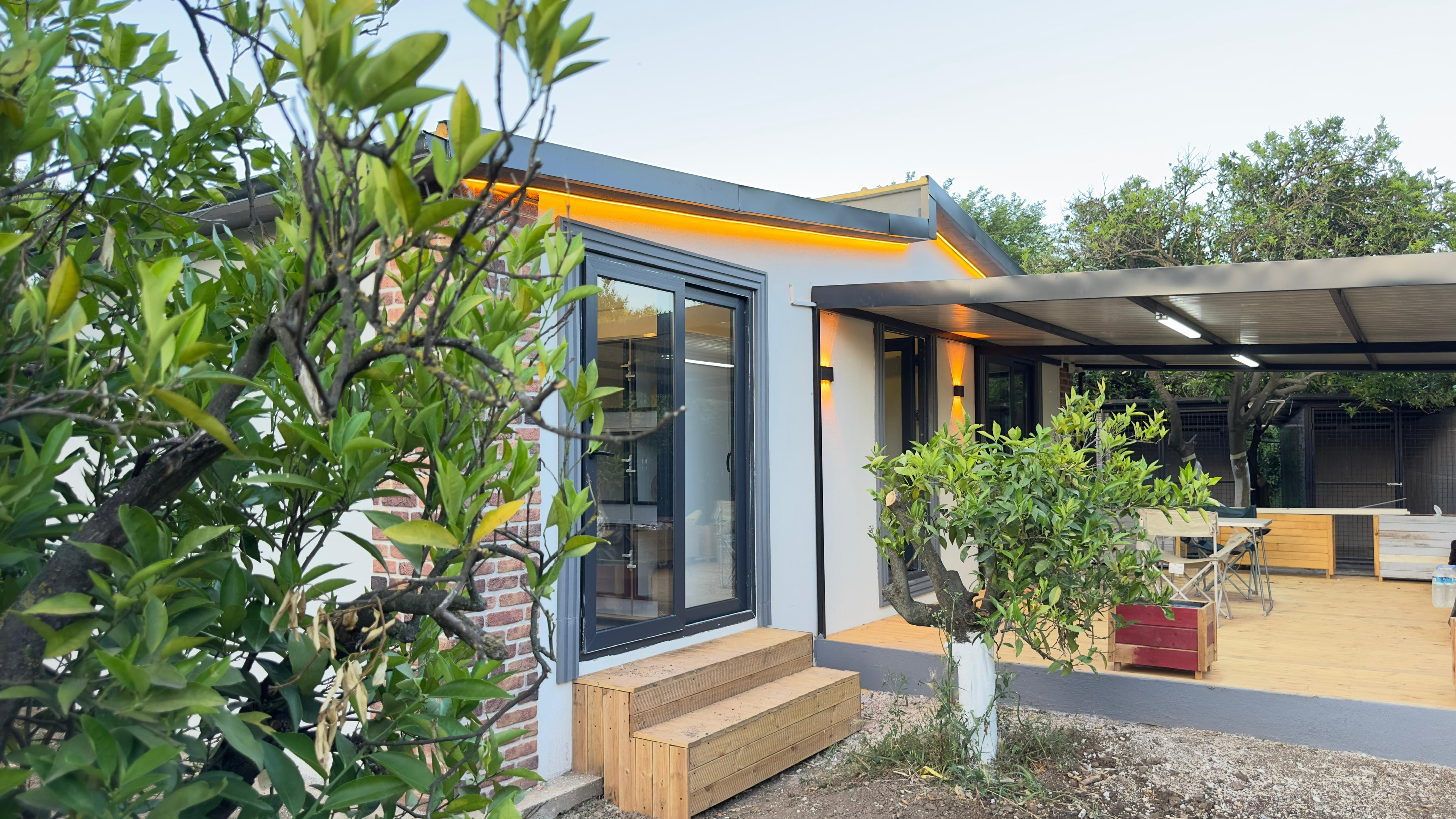 Patilerin Dünyası Galeri 1