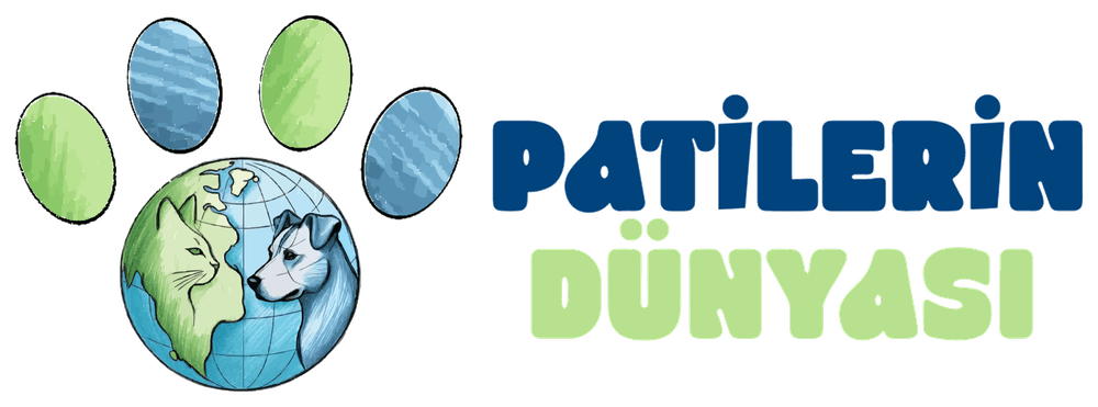 Patilerin Dünyası