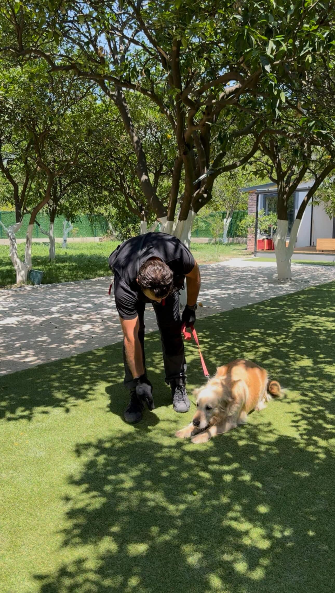 Konyaaltı'nda davranış düzeltme köpek eğitimi